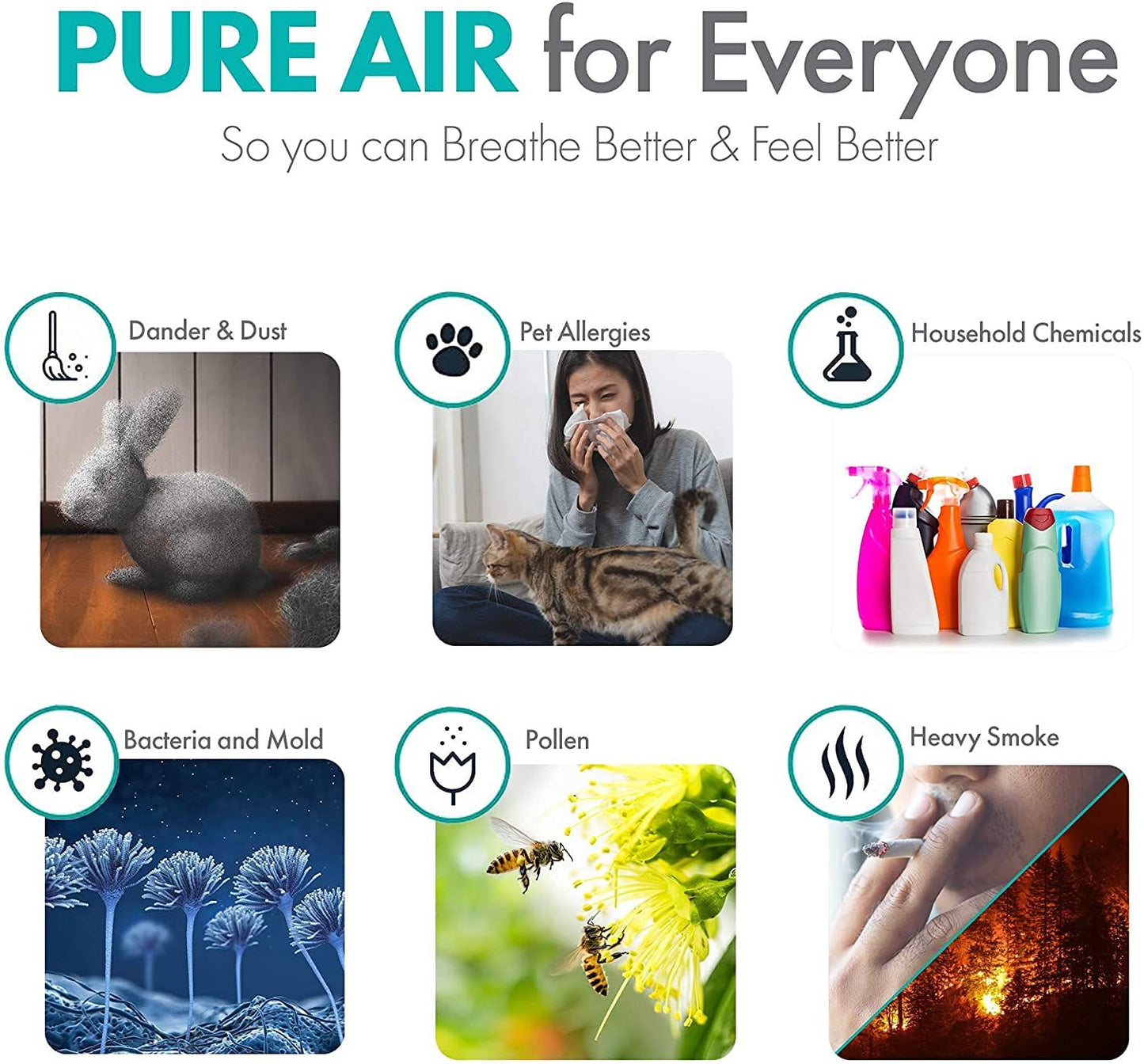 700 sq.ft. large Air Purifier