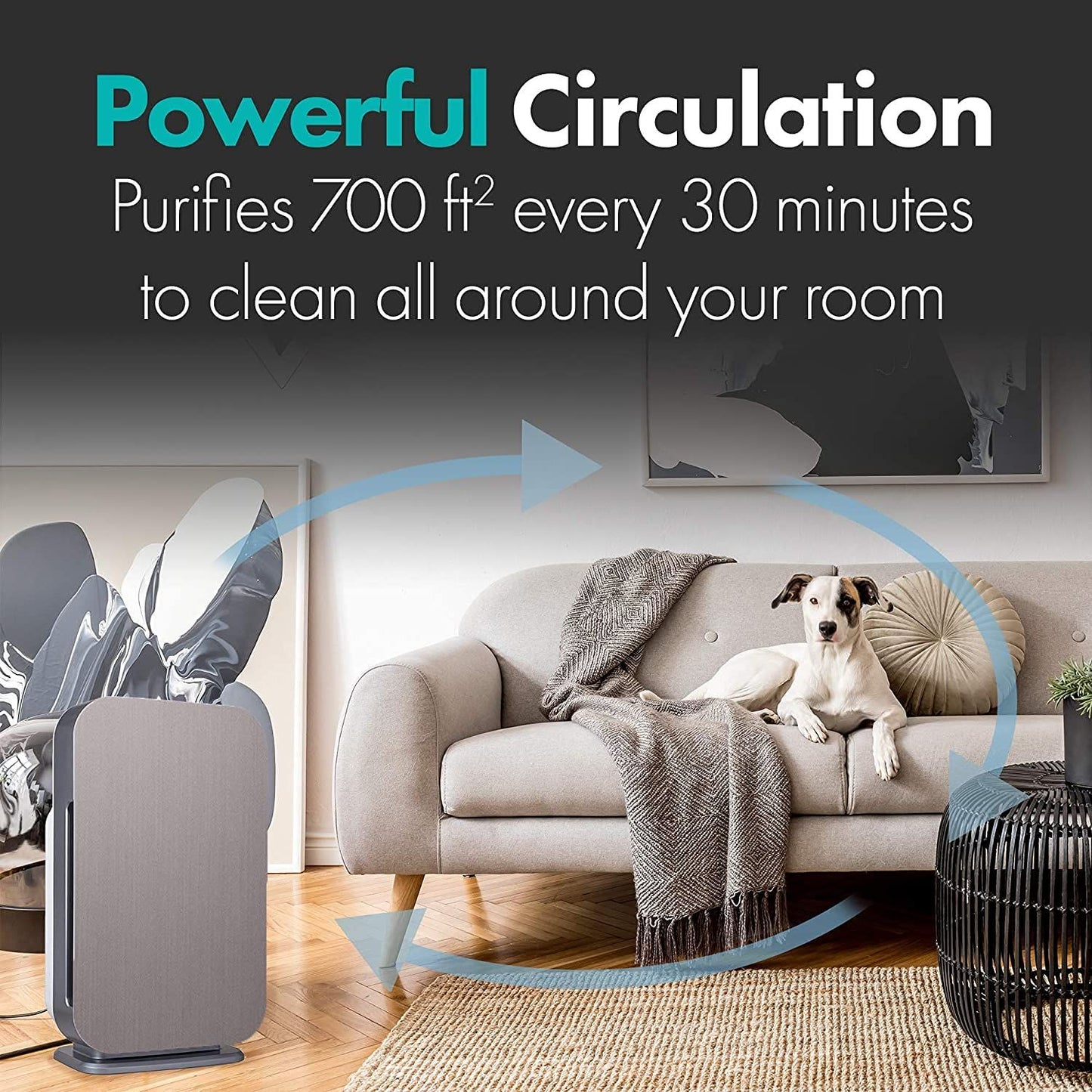 700 sq.ft. large Air Purifier