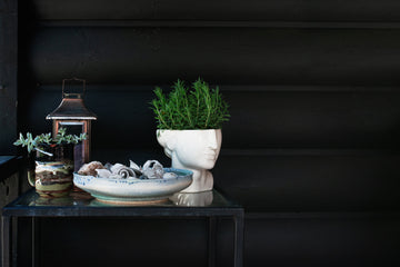 Decor & Exclusives